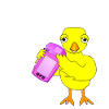 Géocaching Chick Texte blanc