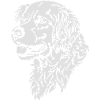 384 Golden Retrievers