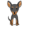 T-Shirt German Pinscher
