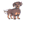 Christmas Dachshund Lights