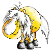 Haflinger - Avelignese - Cheval