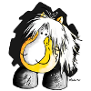 Haflinger - Avelignese - Cheval