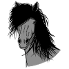 Isländer Portrait