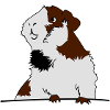 cobayes