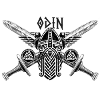 ODIN VIKING