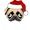 Mops Weihnachtsmann