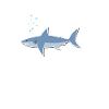 Hi, Shark