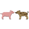 pigs