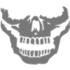 a half skull