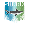 Requins