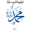 J'aime mon prophète Muhammad (sav)