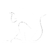 Singe singes voilés