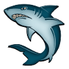 shark