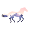 Horse Wild Nature
