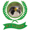 Wanderfalke. Meine Passion