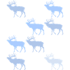 MOOSE