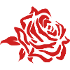 Red rose