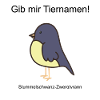 Stub-tailed dwarf tyrant