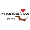 Cute comic dachshund with saying