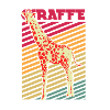 safari