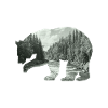 Faune canadienne