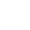 Lyon
