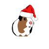 Funny guinea pig rodent Christmas