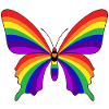 Rainbow Butterfly