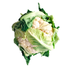 cauliflower
