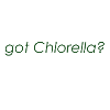 Alga Chlorella