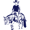 Pleasure horse westernrider