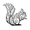 Ornate squirrel