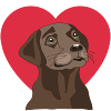 Labrador