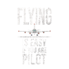 fly