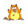 Fokokuchn? Welfer Fokokuchn?