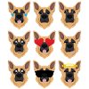 German shepherd