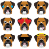 German boxer