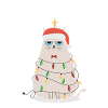 Christmas grumpy cat