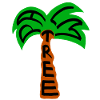 palm tree palm tree