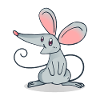 mouse