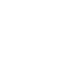 Socialisme anti-dĂŠmocratique