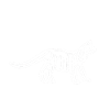 panther