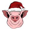 Schwein