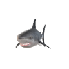 requin requin requin