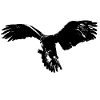 eagle