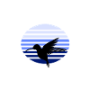 kolibri