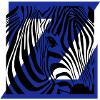 Zebra Mix