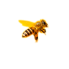 Biene