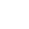 VDM Will Determination Motivation