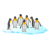 Pingouins sur banquise